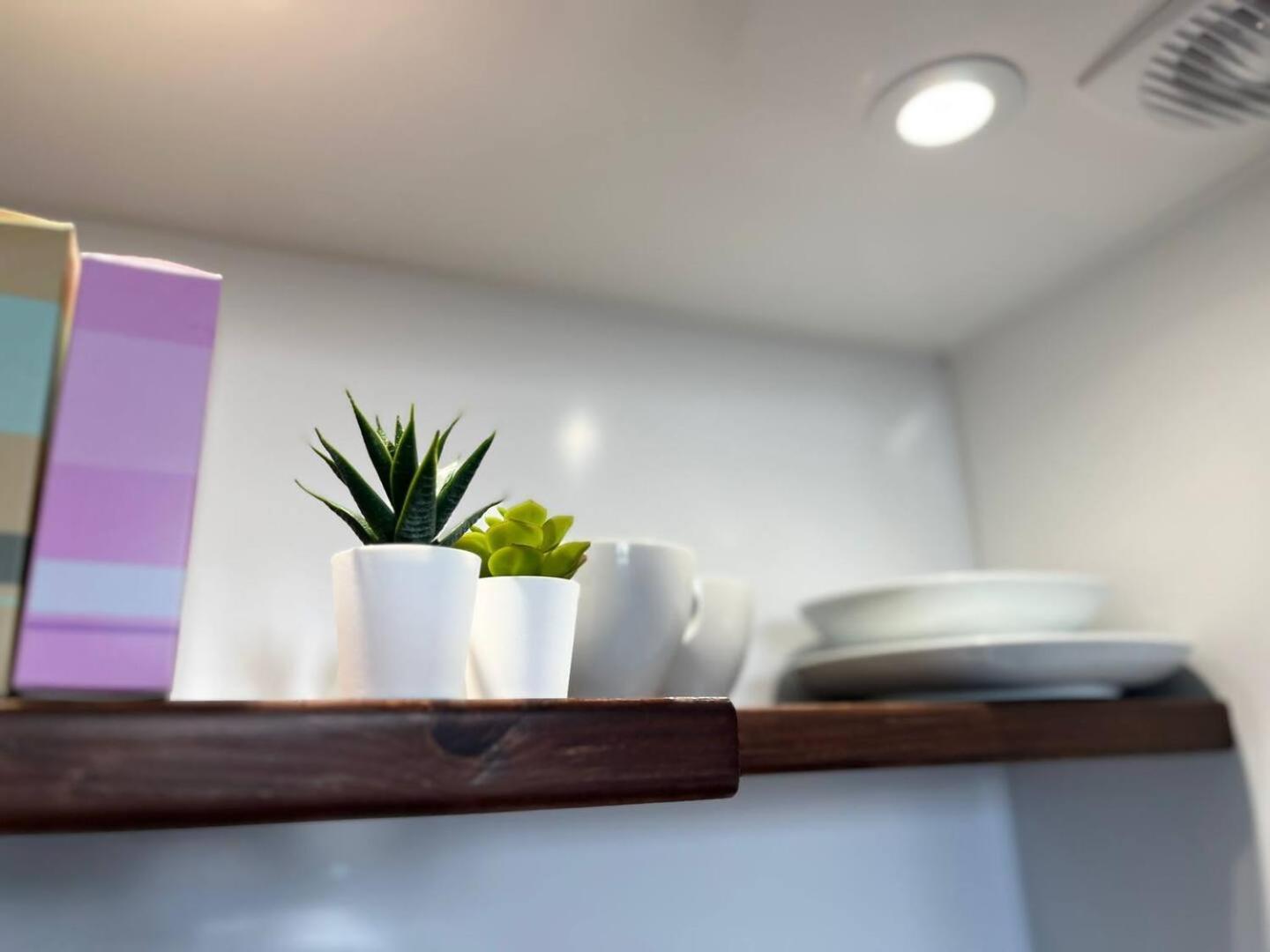 Apt 03 Beachside Beauty Central Studio Steps From Cafes Brighton Luaran gambar
